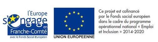 logo FSE-Union euréopéenne